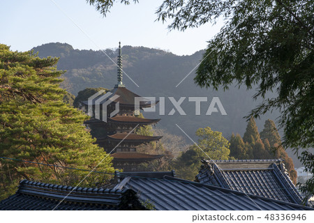 Rurikoji Rurikoji 48336946