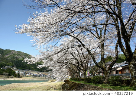 Lake Yasaka 48337219
