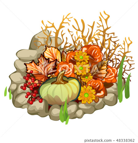 Composition of stones, pumpkin, berries of holly and dried flowers isolated on white background 48338362