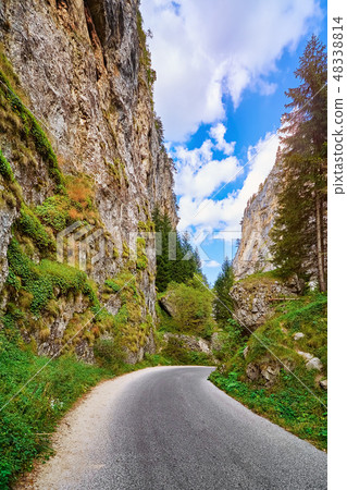 Road in Rhodope Mountains 48338814