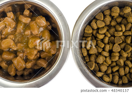 Metal bowls with various pet food. Metal bowls with various pet food. 48340137