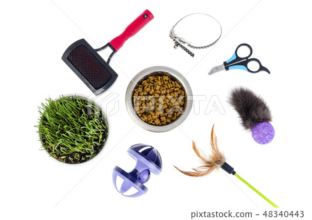 Pet care accessories, food isolated on white. Pet care accessories, food isolated on white. 48340443