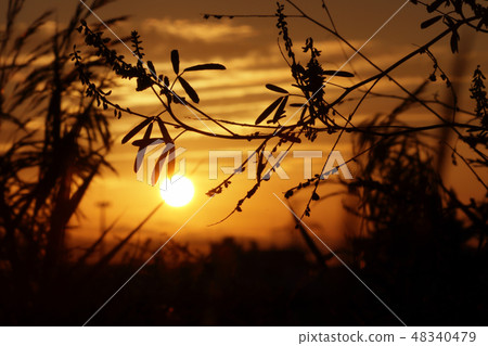 夕陽 夕陽 48340479