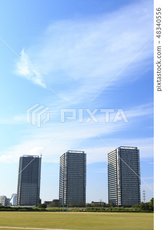 多摩川河床 48340556