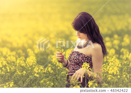 Woman in sunny summer love looking rapeseed flower Woman in sunny summer love looking rapeseed flower 48342422
