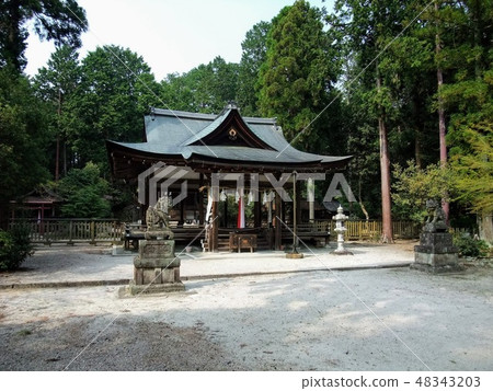 小笠原神社 48343203