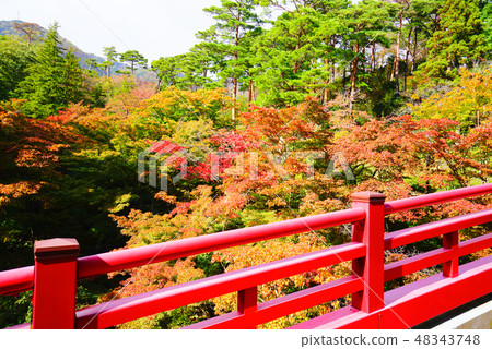 紅葉,彌彥公園,新潟,日本 紅葉,彌彥公園,新潟,日本 48343748