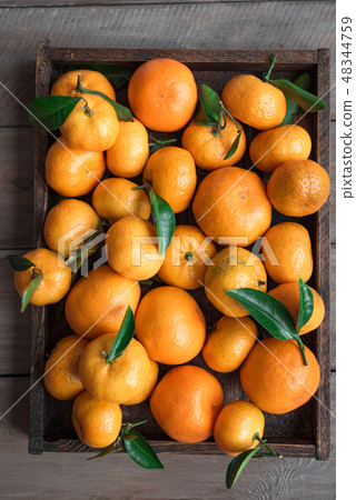 Tangerines (clementines) Tangerines (clementines) 48344759