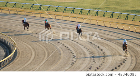跑飛鏢的賽馬 48346083