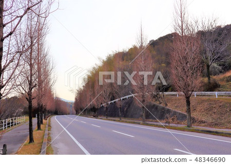 感受到秋冬四季的風采 48346690