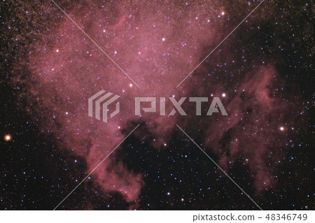 North America Nebula 48346749