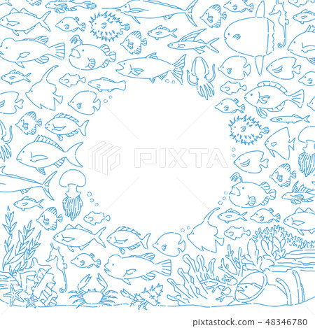 魚架 48346780