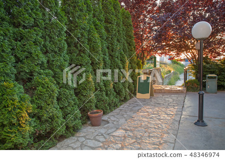 Garden Path Garden Path 48346974