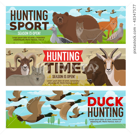 Hunting sport, animals and birds hunt open season Hunting sport, animals and birds hunt open season 48347577