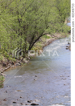 河綠色自然川邊水樹河 河綠色自然川邊水樹河 48349733