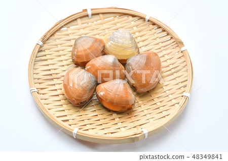 Foodstuffs "Aoyagi" "Aoyagi" "Ao Yagi" "Bakagai" "Ma Kaige" "Idiot shell". Seawater bivalves. 48349841