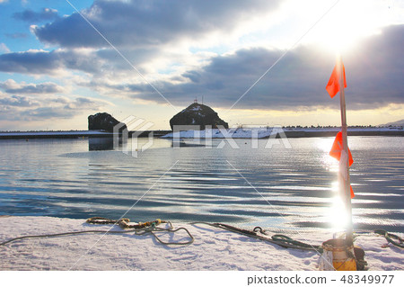 Morning when herring was caught 48349977