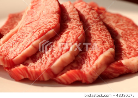 Beef luxury yakiniku cuts Camping gourmet Hometown tax payment Beef luxury yakiniku cuts Camping gourmet Hometown tax payment 48350173
