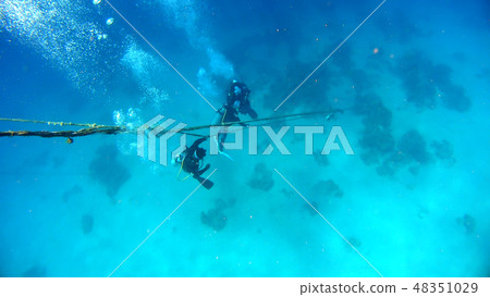 Diver underwater photograph Diver underwater photograph 48351029