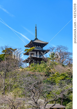 老燈明廟三重塔（中區，橫濱，三溪園） 48352039