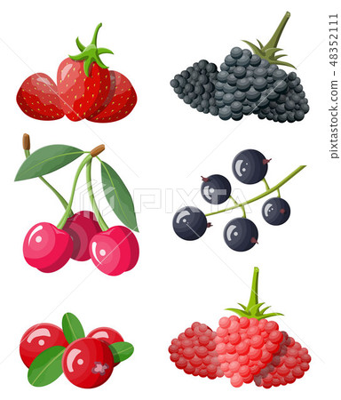 Berry icon set. 48352111