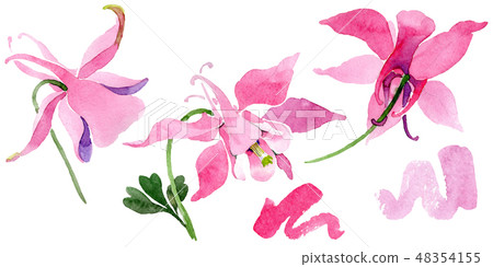 Red aquilegia floral botanical flower. Watercolor background illustration set. Isolated aquilegia Red aquilegia floral botanical flower. Watercolor background illustration set. Isolated aquilegia 48354155