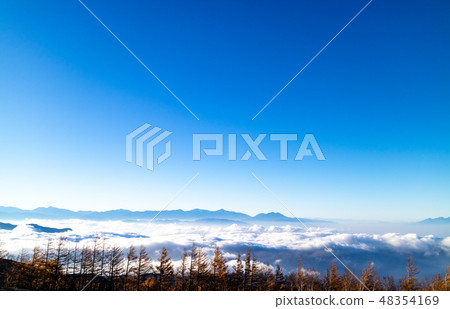 An expanse of clouds and blue sky with trees below An expanse of clouds and blue sky with trees below 48354169