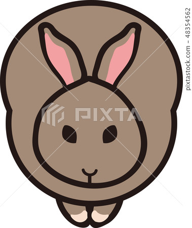 Rabbit  48354562