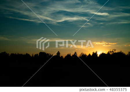 silhouettes of bushes and trees on the horizon. silhouettes of bushes and trees on the horizon. 48355375