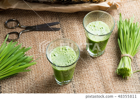 Two glasses of barley grass juice with barley 48355811