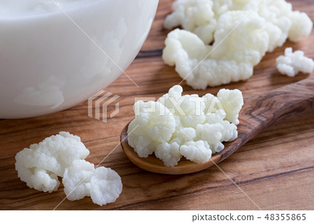 Kefir grains on a spoon next to a jar of milk 48355865