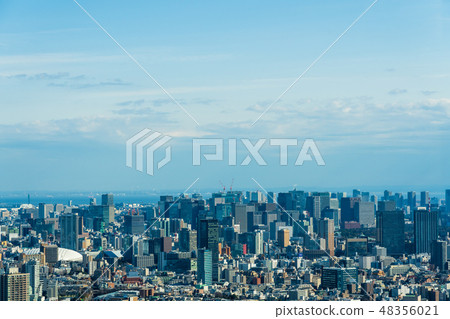 Tokyo Cityscape 48356021