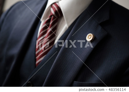 有律師徽章的律師 有律師徽章的律師 48356114