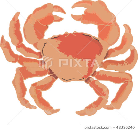 large red crustacean atlantic crab large red crustacean atlantic crab 48356240