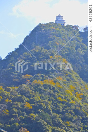 Kinkakuyama / Gifu Castle（岐阜縣岐阜市） 48356261