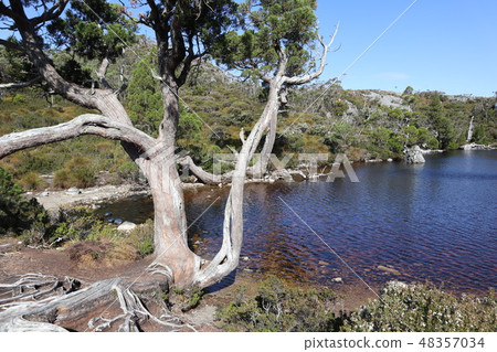 Tasmania Cradle Mountain Tasmania Cradle Mountain 48357034
