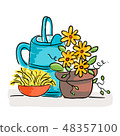 Summer still life with flowers and watering can 48357100