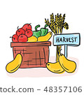 Harvest - basket with fruits and vegetables 48357106