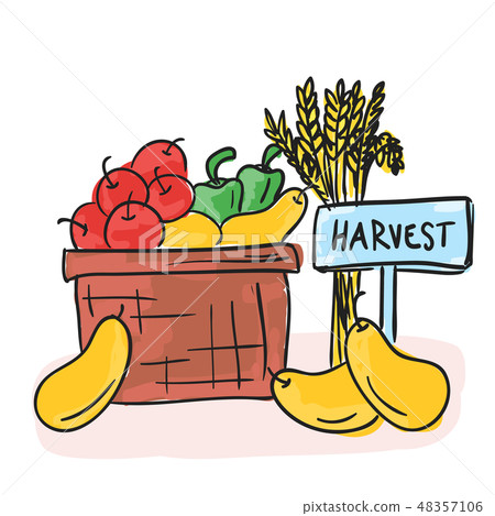 Harvest - basket with fruits and vegetables Harvest - basket with fruits and vegetables 48357106