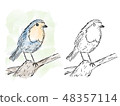 Bird on branch, watercolor artwork 48357114