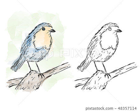 Bird on branch, watercolor artwork Bird on branch, watercolor artwork 48357114