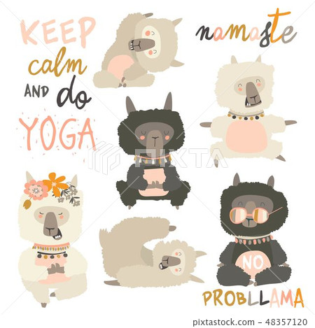 Set of cute llama alpaca in yoga asana postures 48357120