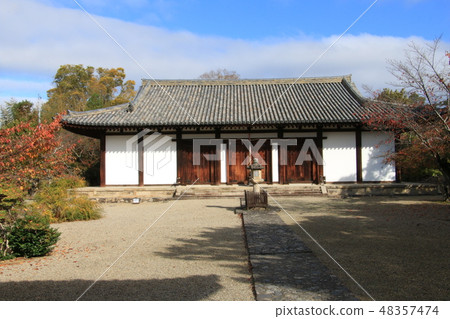 王朝新的藥師寺 王朝新的藥師寺 48357474