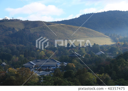 從奈良縣廳的屋頂看的深草若草山 從奈良縣廳的屋頂看的深草若草山 48357475