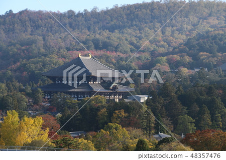 從奈良縣廳的屋頂上眺望深秋的東大寺大佛 從奈良縣廳的屋頂上眺望深秋的東大寺大佛 48357476