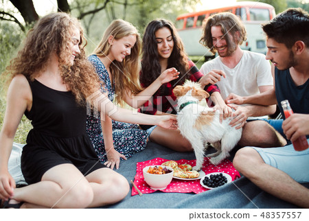 A group of young friends with a dog having picnic on a roadtrip through countryside. 48357557