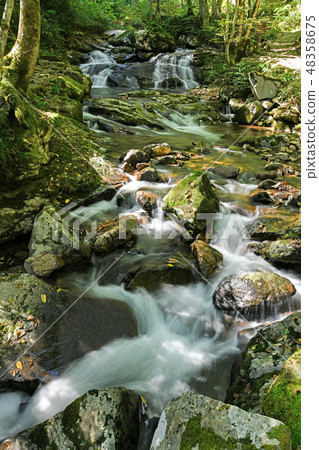 Utsu River Asakutaki Falls in the early fall (Asagiri Taki) 48358675