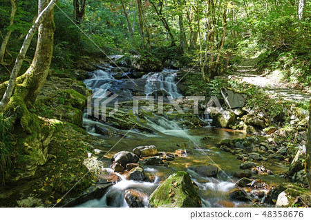 Utsu River Asakutaki瀑佈在初秋（朝霧塔基） 48358676