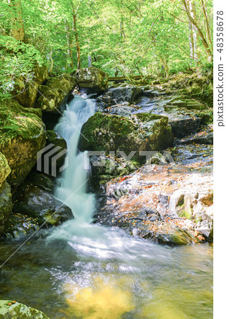 Utsugawa瀑布瀑布魚瀑佈在初秋(歡迎回來) Utsugawa瀑布瀑布魚瀑佈在初秋(歡迎回來) 48358678