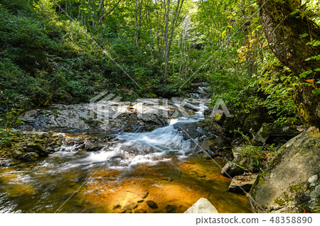 Utsu River Yamazaki Fall in early fall Utsu River Yamazaki Fall in early fall 48358890